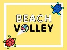 Beach Volley