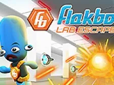 Flakboy Lab Escape